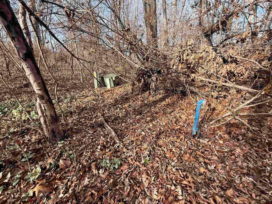 002-06338-042 BAYPOINT COURT, Mountain Home, AR 72653 - Image #3