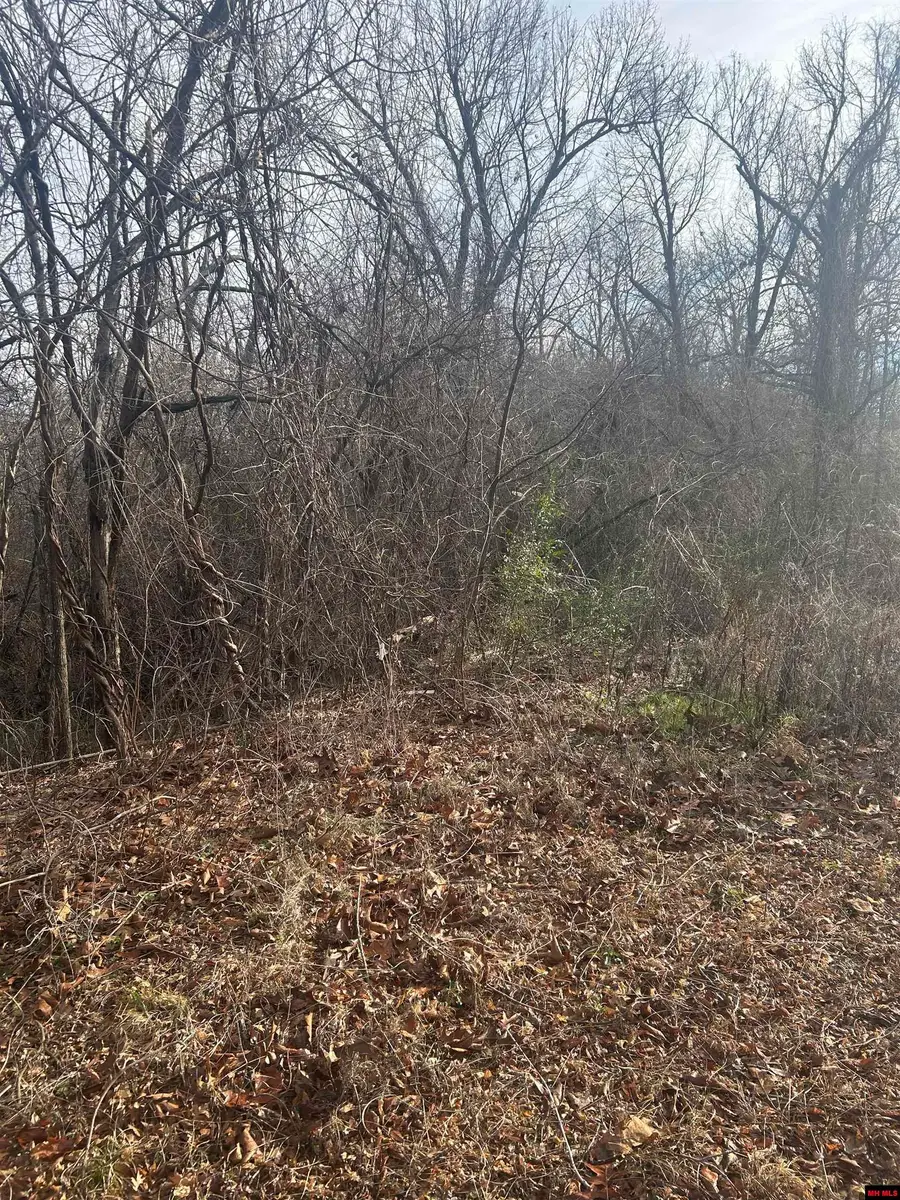 97 FOREST PARK DRIVE, Mountain Home, AR 72653 - Image #2