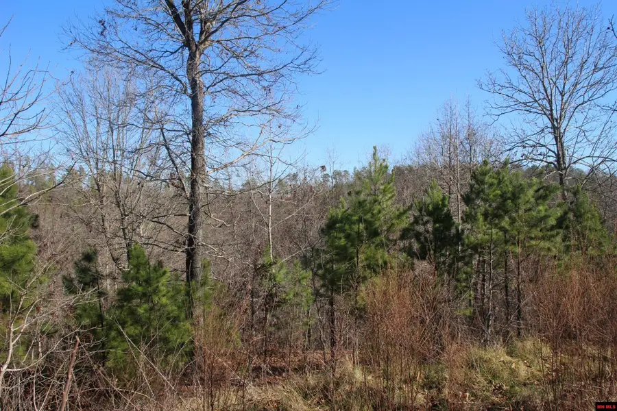 001-00494-003 TATER KNOB LANE, Yellville, AR 72687 - #3