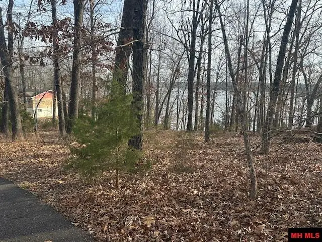 Lot 12 LAKEVIEW CIRCLE, Bull Shoals, AR 72619 - Image #2