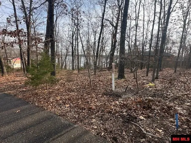 Lot 12 LAKEVIEW CIRCLE, Bull Shoals, AR 72619 - Image #3