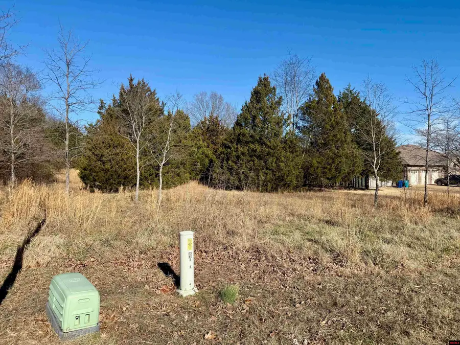 761 00065 000 WINTERVIEW, Bull Shoals, AR 72619 - #2