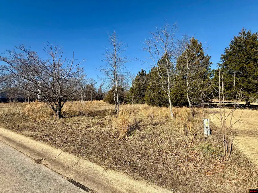 761 00065 000 WINTERVIEW, Bull Shoals, AR 72619 - #3