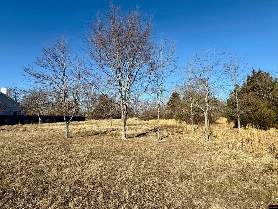 761 00065 000 WINTERVIEW, Bull Shoals, AR 72619 - #2