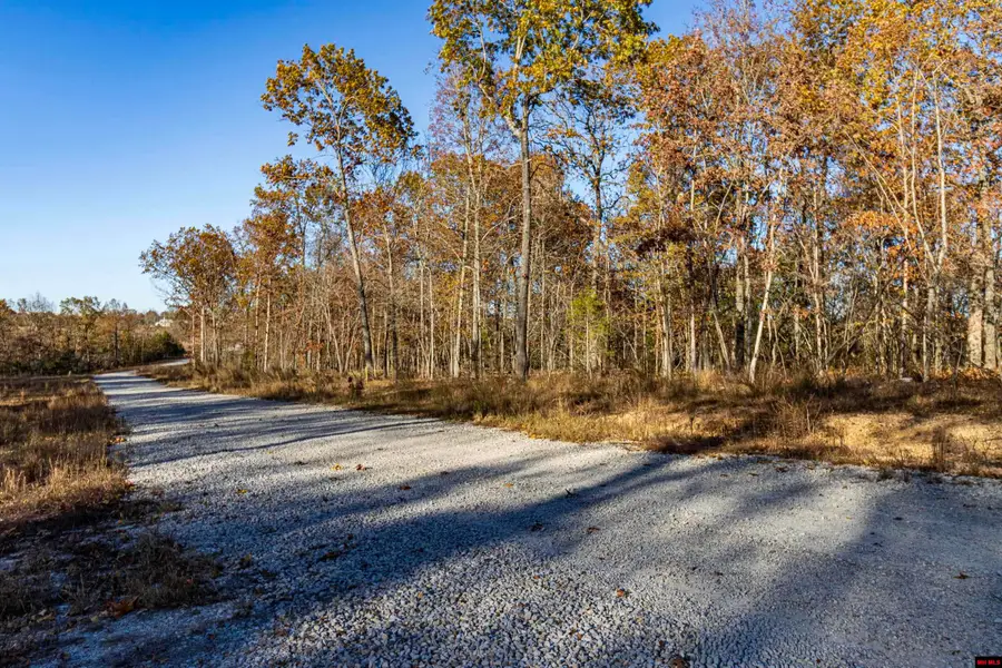 Tract 19 PROVIDENCE RIDGE ROAD, Clarkridge, AR 72623 - Image #2