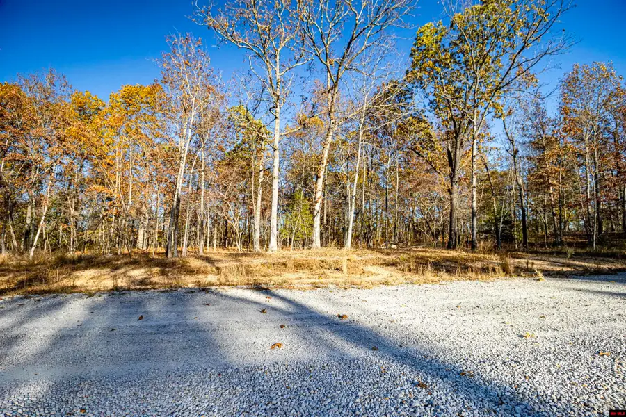 Tract 20 PROVIDENCE RIDGE ROAD, Clarkridge, AR 72623 - Image #3