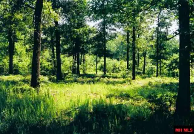 Lot 21 CR 472, Clarkridge, AR 72623 - Image #3