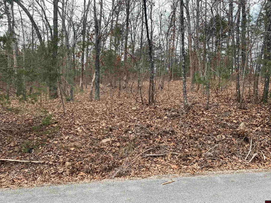 010-05456-000 HWY 5 SOUTH, Mountain Home, AR 72653 - Image #2