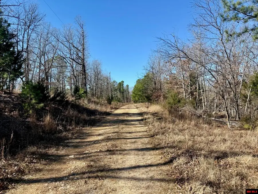 251 COLD MOUNTAIN TERRACE, Yellville, AR 72687 - Image #2