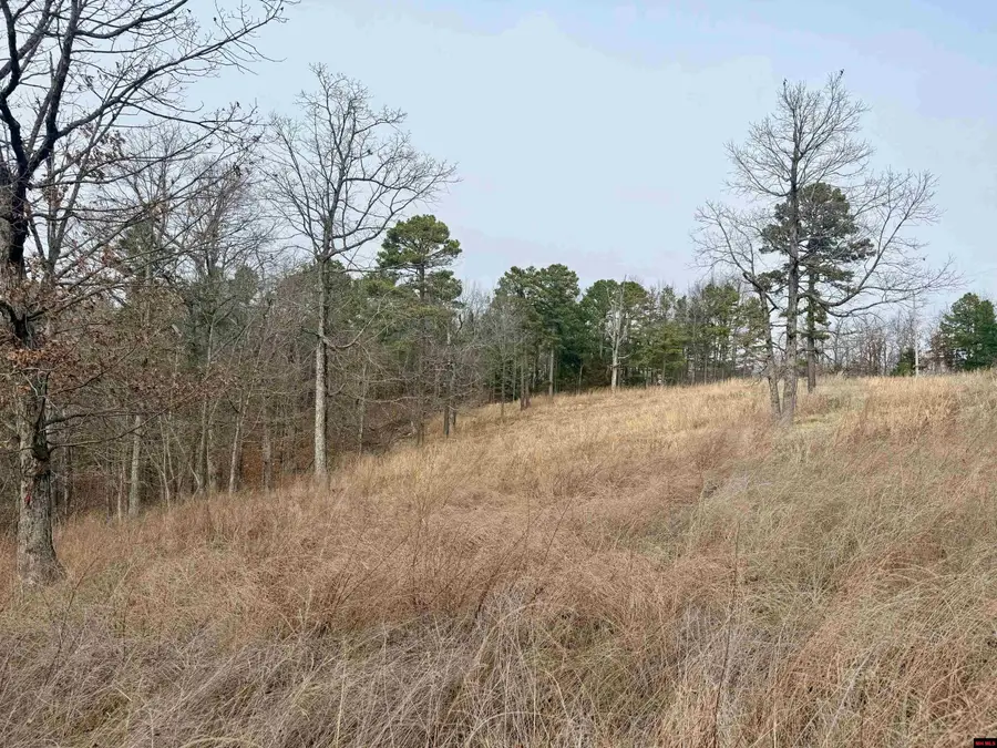 251 COLD MOUNTAIN TERRACE, Yellville, AR 72687 - Image #3