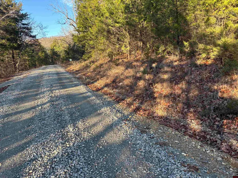 125-00033-000 MC 6025, Yellville, AR 72687 - Image #3