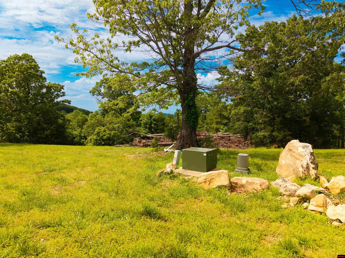 010-11219-014 DENMARK CIRCLE, Mountain Home, AR 72653 - #1