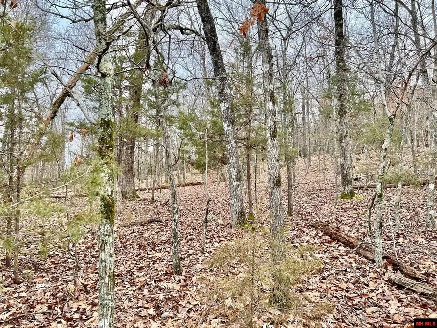 760 22314 000 COUNTRY CLUB DRIVE, Bull Shoals, AR 72619 - Image #2