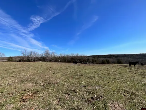 594 CR 873, Thornfield, MO 65762