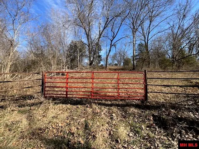 594 CR 873, Thornfield, MO 65762 - #2