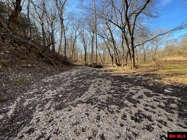 594 CR 873, Thornfield, MO 65762 - #3