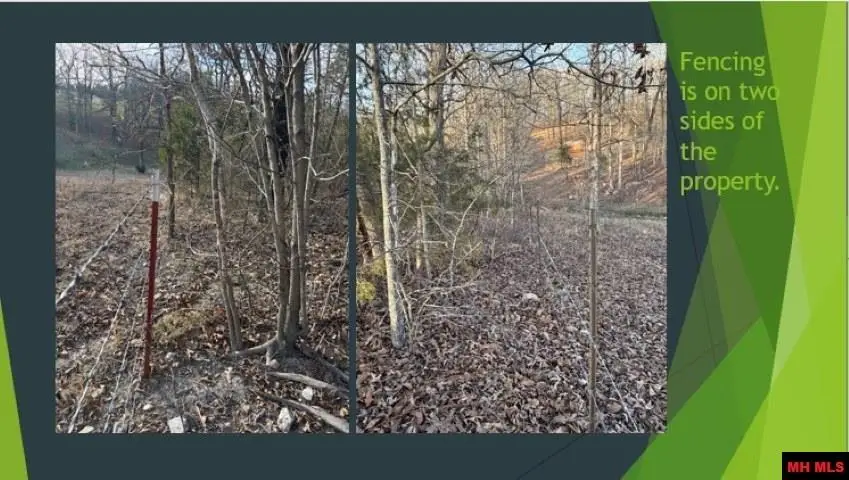 910 MC 7097, Flippin, AR 72634 - Image #3