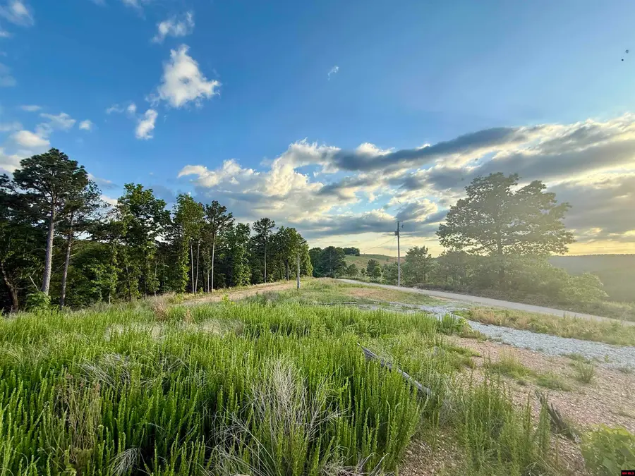 7958 MC 6061, Flippin, AR 72634 - Image #2