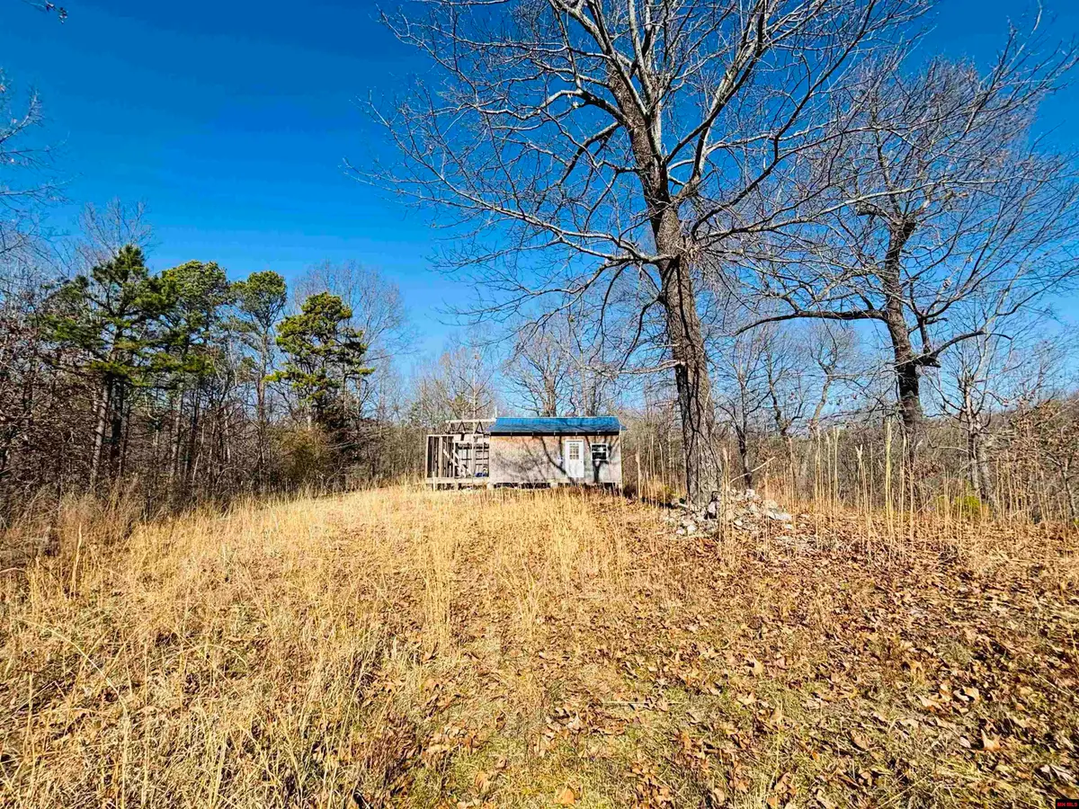 240 GOAT TRAIL, Yellville, AR 72687 - Image #1