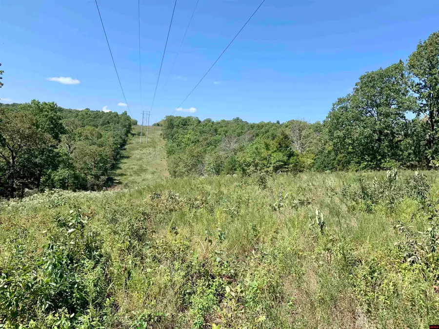 3050 CR 16, Mountain Home, AR 72653 - #3