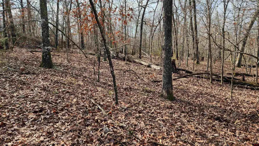 76027036000 KINGSWAY CIRCLE, Bull Shoals, AR 72619 - #2