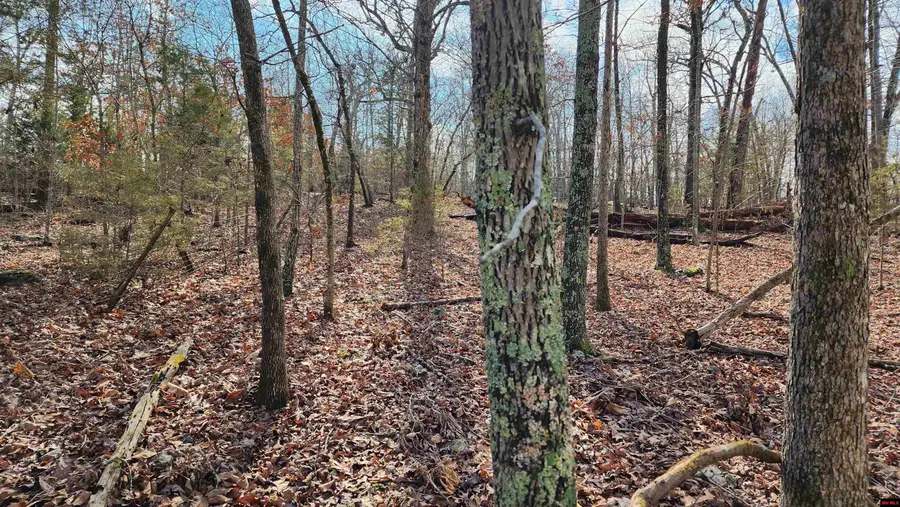 76027036000 KINGSWAY CIRCLE, Bull Shoals, AR 72619 - #3