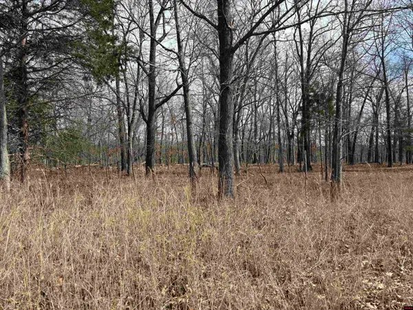 002-11124-006 LAKE POINT BLUFF, Clarkridge, AR 72623