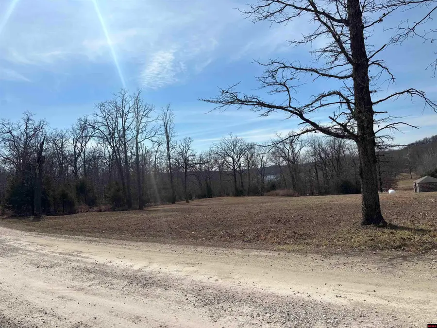 002-11124-006 LAKE POINT BLUFF, Clarkridge, AR 72623 - #2