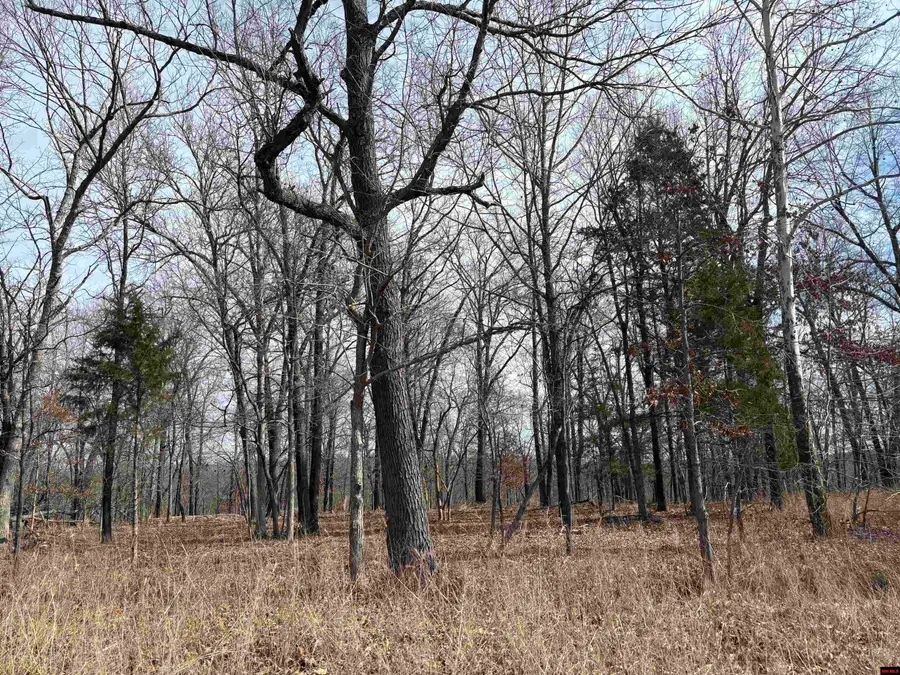 002-11124-006 LAKE POINT BLUFF, Clarkridge, AR 72623 - #3