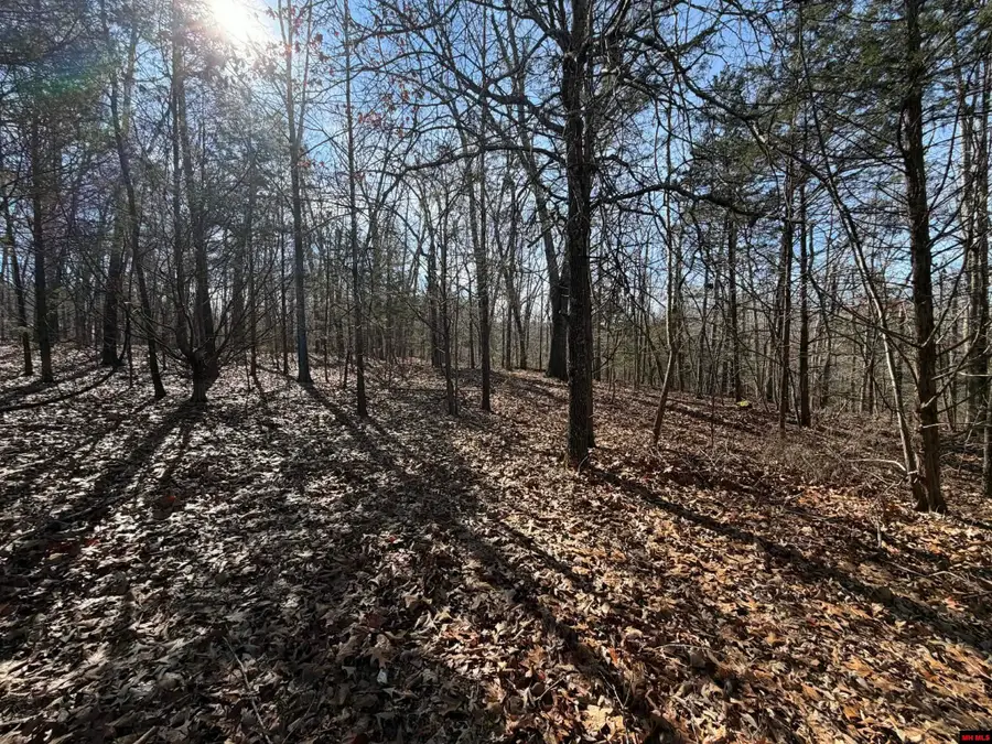 002-03609-000 CR 989, Mountain Home, AR 72653 - #3