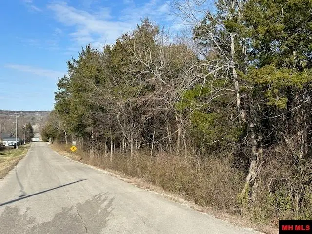 77000936000 ORCHARD STREET, Flippin, AR 72634 - #2