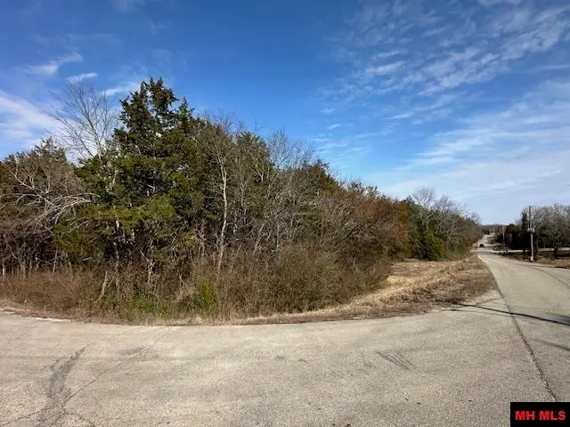 77000936000 ORCHARD STREET, Flippin, AR 72634 - #3