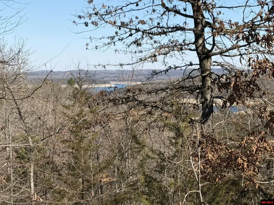 563-00031-000 NORTH WOODS COURT, Yellville, AR 72687 - #2