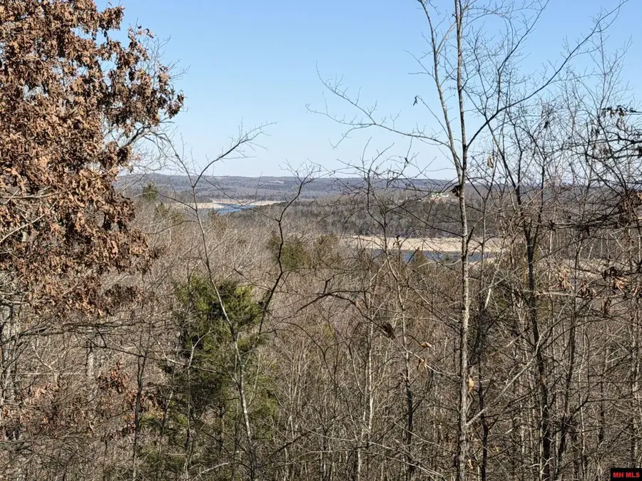 563-00031-000 NORTH WOODS COURT, Yellville, AR 72687 - #3