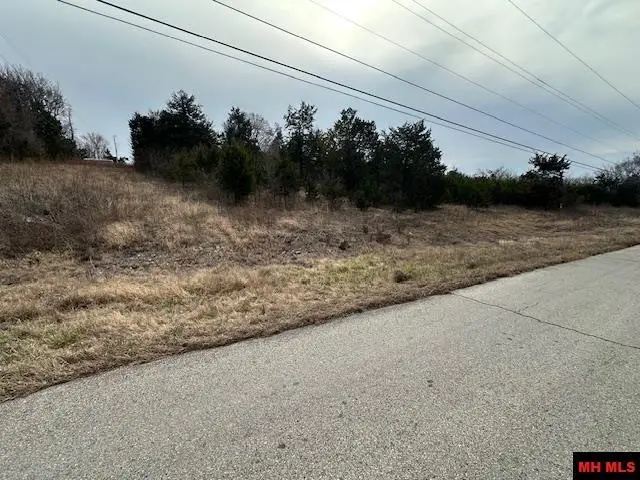 770-05143-000 ORCHARD STREET, Flippin, AR 72634 - #3