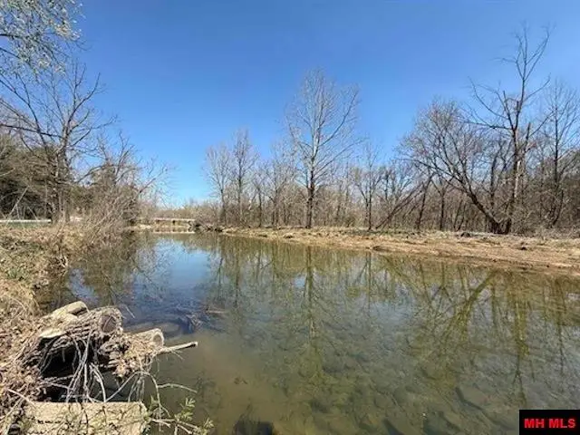 109 CR 227, North Fork, AR 72653 - #3