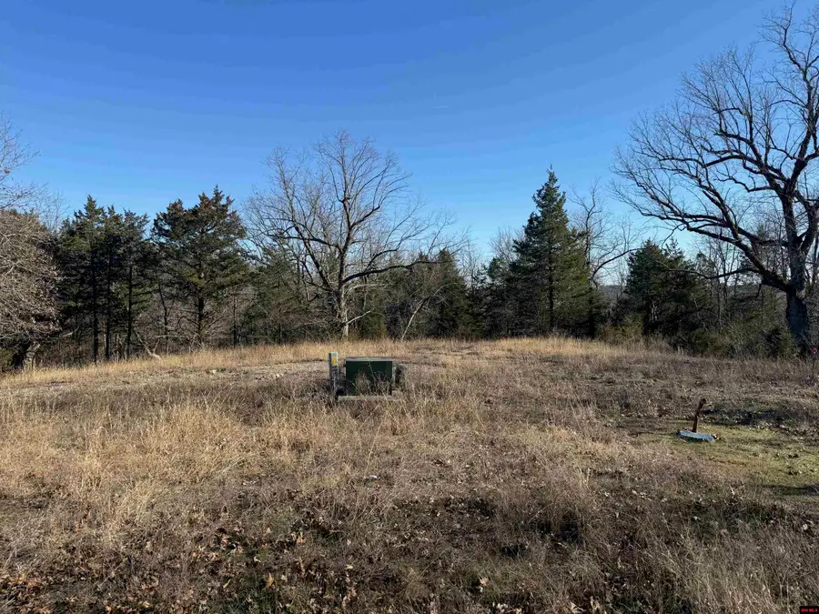 Lts 15, 16 PANTHER COVE DRIVE, Mountain Home, AR 72653 - #2