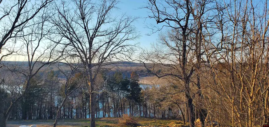 775-01003-000 W LARCHWOOD, Diamond City, AR 72630 - #2