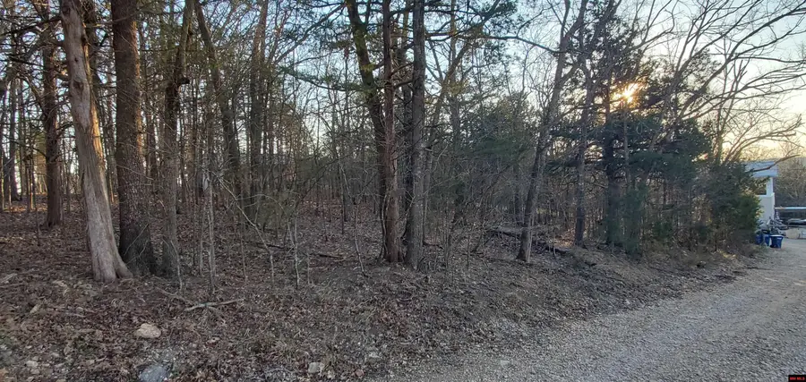 775-01003-000 W LARCHWOOD, Diamond City, AR 72630 - #3