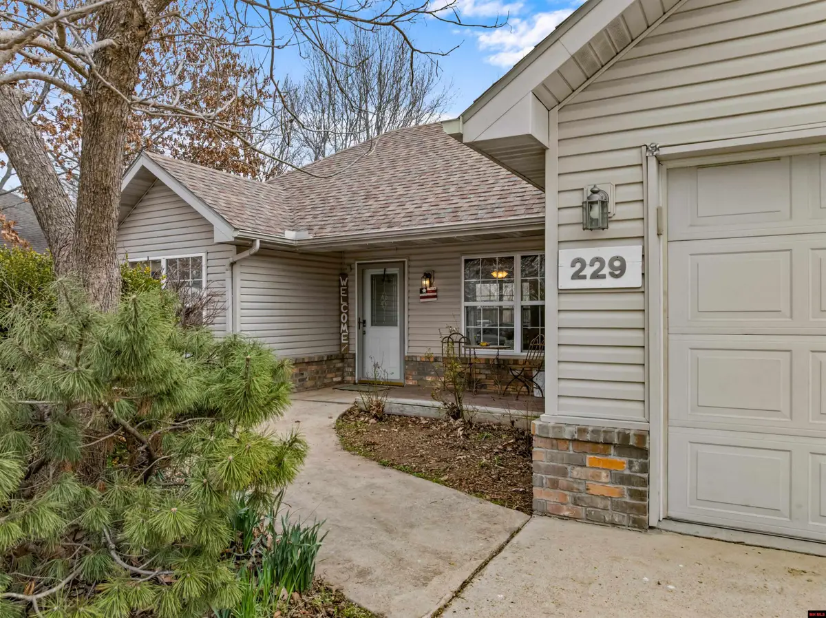 229 S JOHNSON STREET, Gassville, AR 72635 - #1