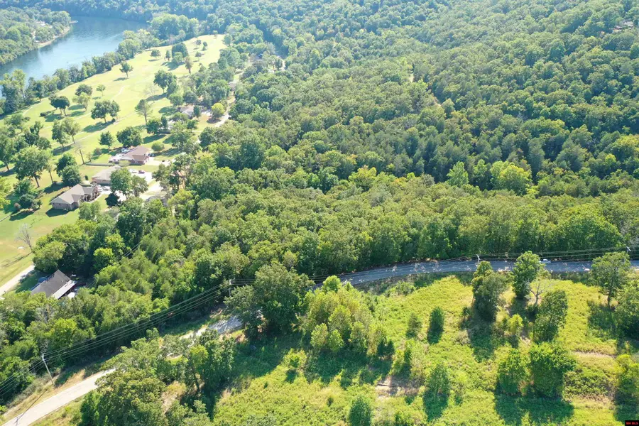 LOT 171 RIVERCLIFF DRIVE, Bull Shoals, AR 72619 - #3