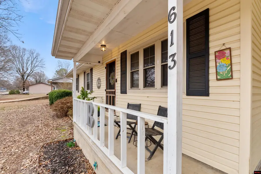 613 VINE STREET, Gassville, AR 72635 - #2