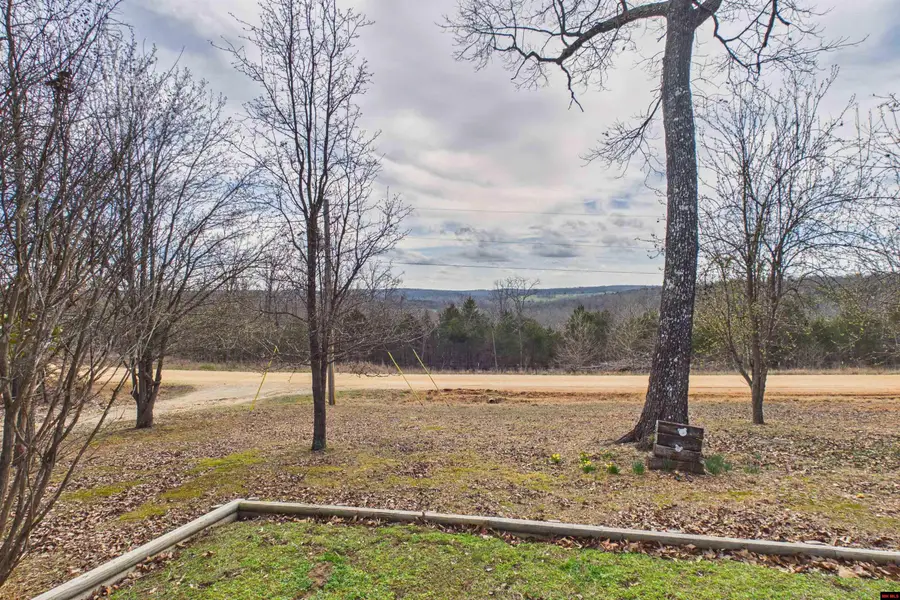 7317 MOUNT CALM ROAD, Gepp, AR 72538 - #3