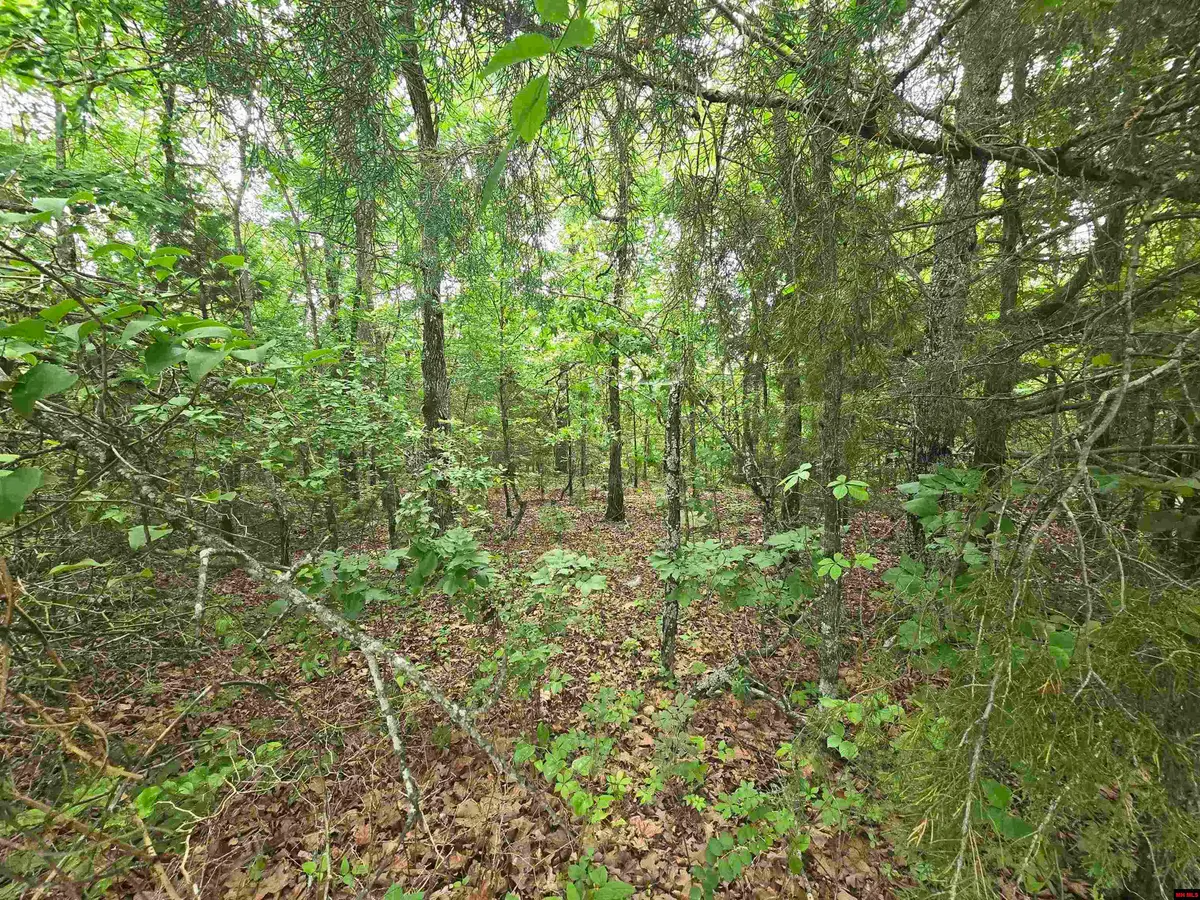 009-00081-032 PINE VIEW DRIVE, Salesville, AR 72653 - #1