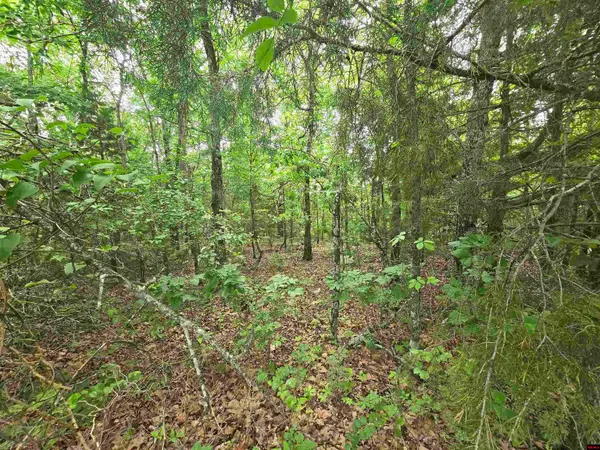 009-00081-032 PINE VIEW DRIVE, Salesville, AR 72653