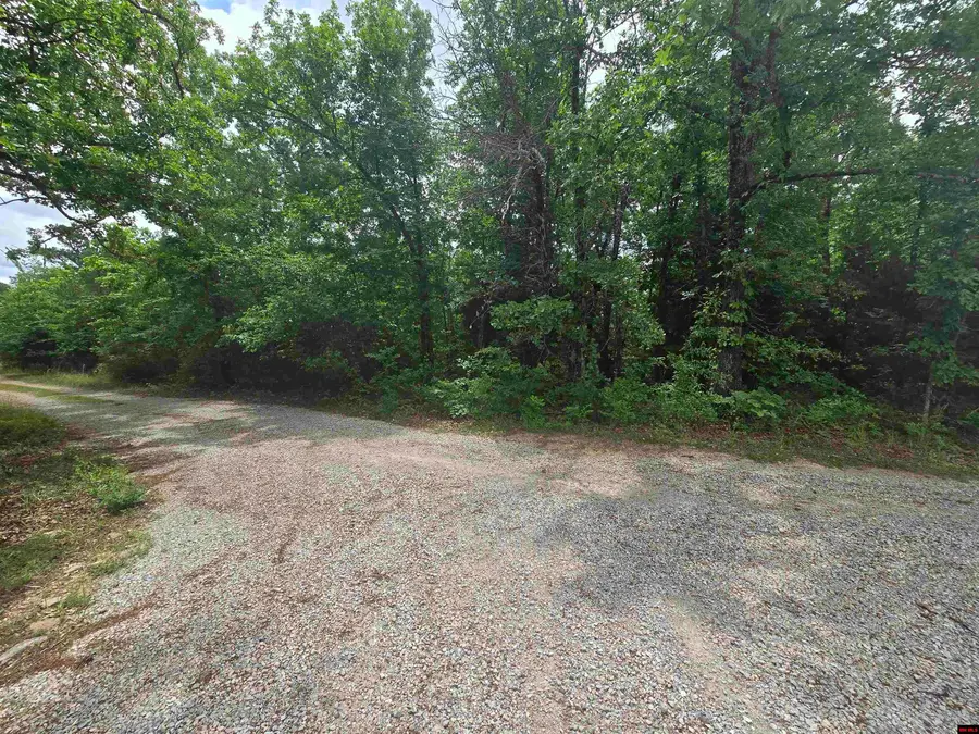 009-00081-032 PINE VIEW DRIVE, Salesville, AR 72653 - #2