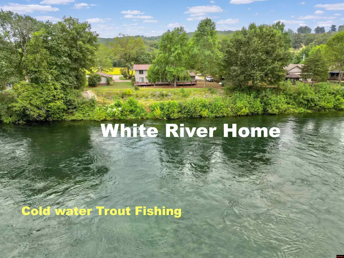 134 CR 703, Cotter, AR 72626 - #1