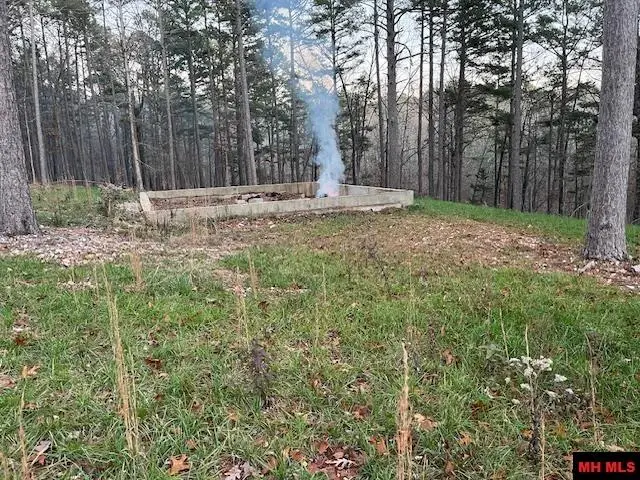 496 MC 3045, Yellville, AR 72687 - #1