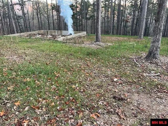 496 MC 3045, Yellville, AR 72687 - #2