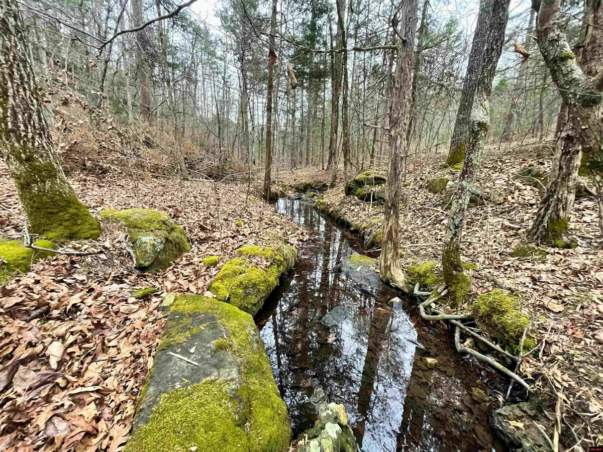 001-05451-000 TOMAHAWK SLAB ROAD, Saint Joe, AR 72675 - #1